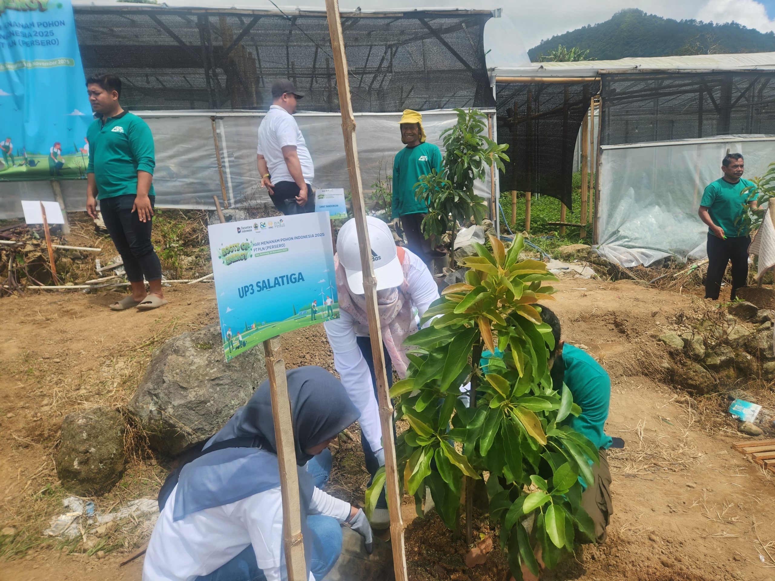 Waldi Komitmen Jaga Rehabilitasi Lahan dengan Tanaman dari PLN – Wujud Nyata PLN untuk Rakyat