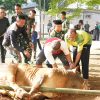 Perayaan Idul Adha 1447 H di Korem 052/Wkr, Momentum Tingkatkan Iman dan Pengabdian Prajurit untuk Indonesia Maju