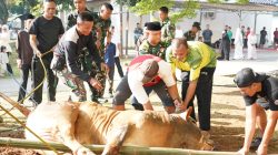 Perayaan Idul Adha 1447 H di Korem 052/Wkr, Momentum Tingkatkan Iman dan Pengabdian Prajurit untuk Indonesia Maju Perayaan Idul Adha 1447 H di Korem 052/Wkr, Momentum Tingkatkan Iman dan Pengabdian Prajurit untuk Indonesia Maju