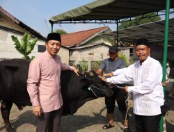 Dandim 0506/Tgr Serahkan Hewan Qurban Kepada Panitia Qurban