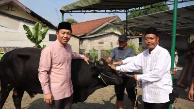 Dandim 0506/Tgr Serahkan Hewan Qurban Kepada Panitia Qurban