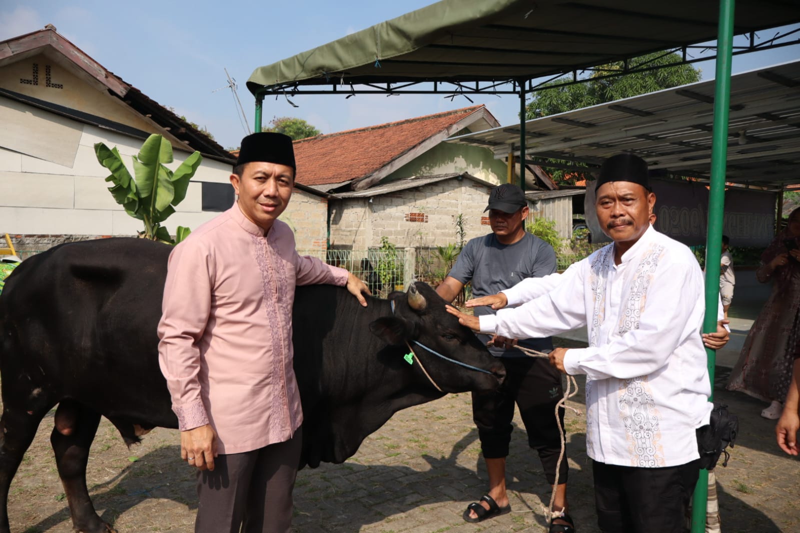 Dandim 0506/Tgr Serahkan Hewan Qurban Kepada Panitia Qurban