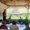 Kawal Ketahanan Pangan, Koramil Parungpanjang Rangkul Petani Jagung